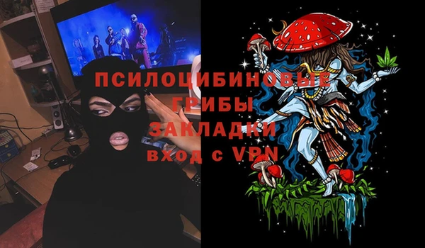 стафф Абаза